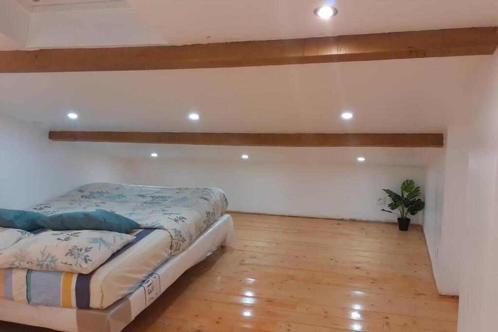 Appartement La Joie Dans Quartier Chic Pibrac ภายนอก รูปภาพ