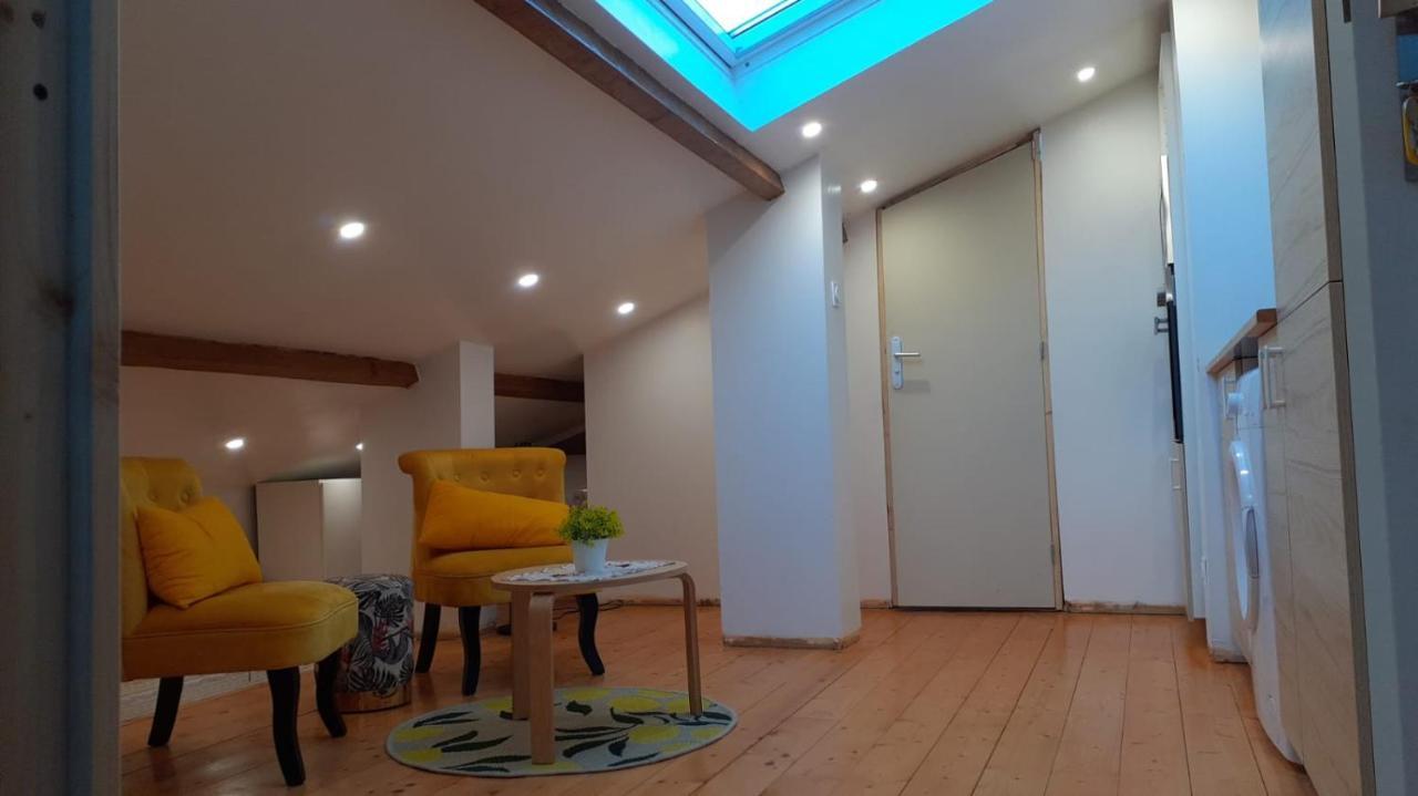 Appartement La Joie Dans Quartier Chic Pibrac ภายนอก รูปภาพ
